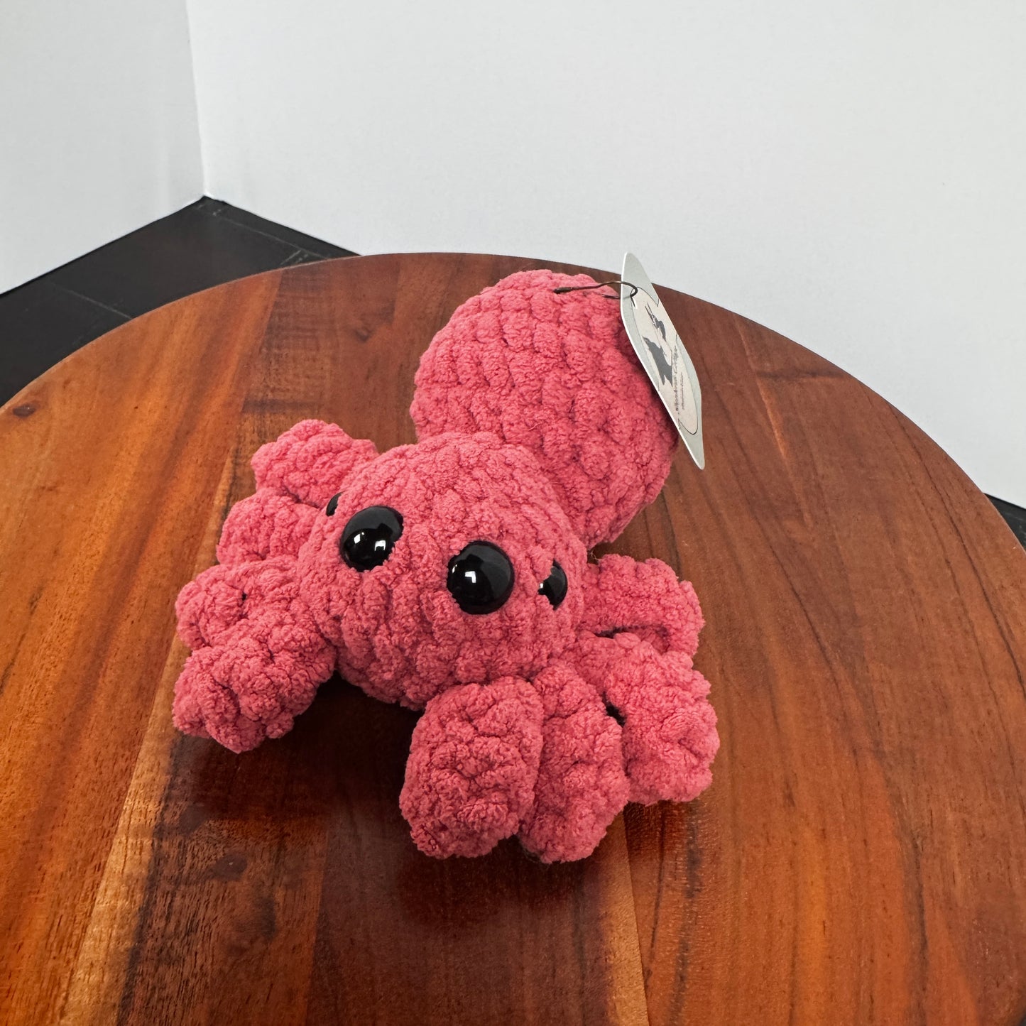 Friendly Jumping Spider