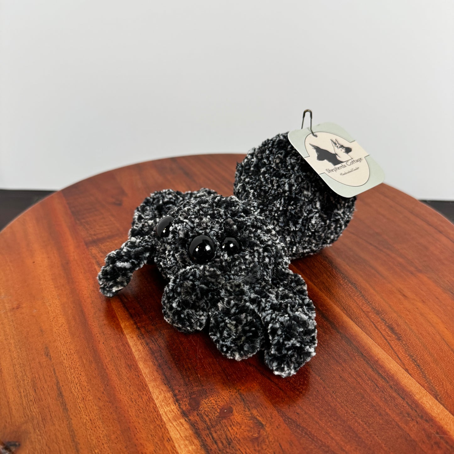 Friendly Jumping Spider