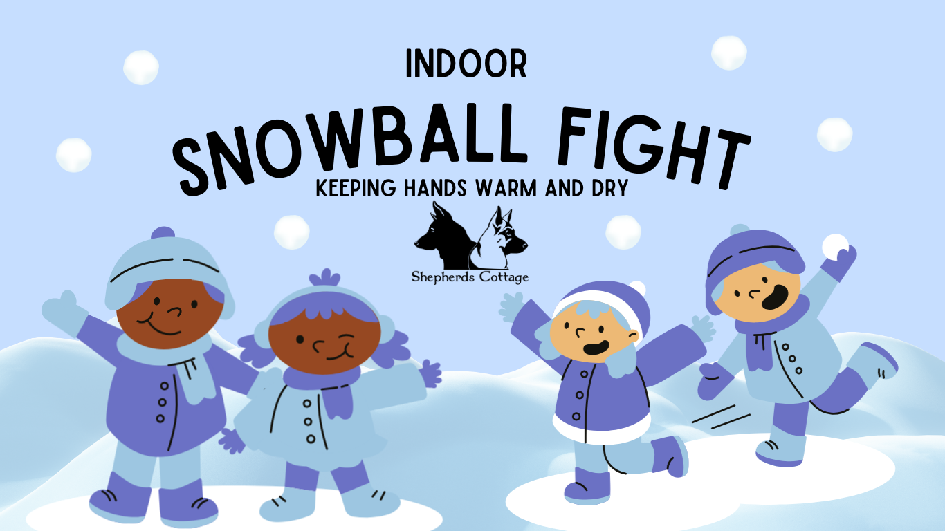 Snow Ball Fight Set